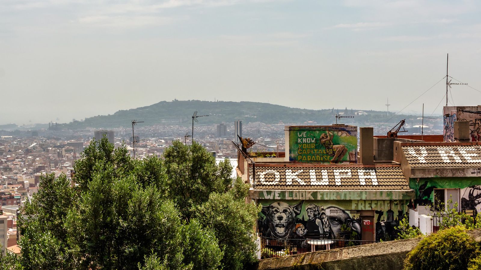 como actuar si okupan tu vivienda