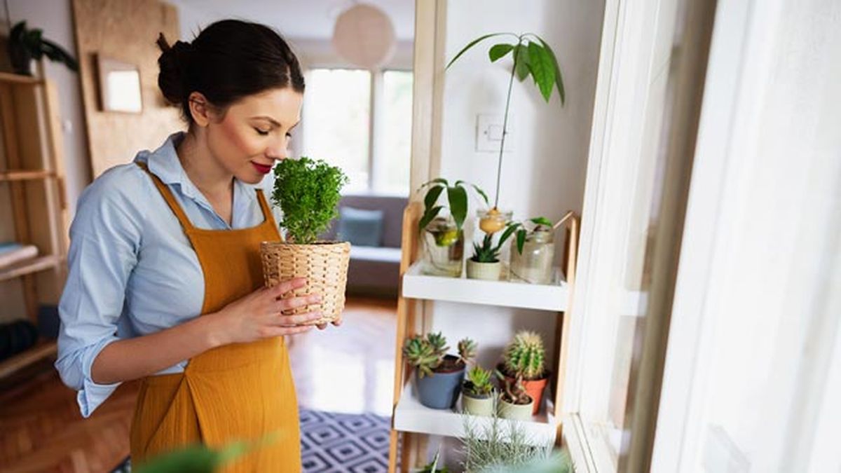 trucos para que la casa huela siempre bien