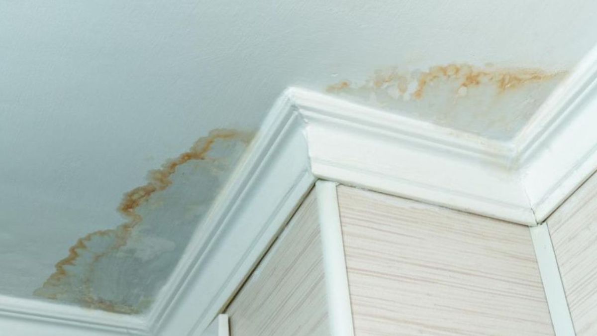 Fuga de agua en el techo