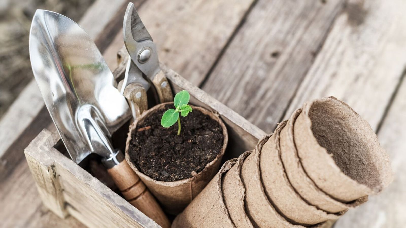 dia del padre ideas de regalos aficionado al huerto urbano