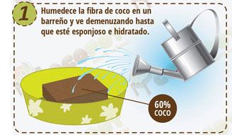 Siembre directa 1
