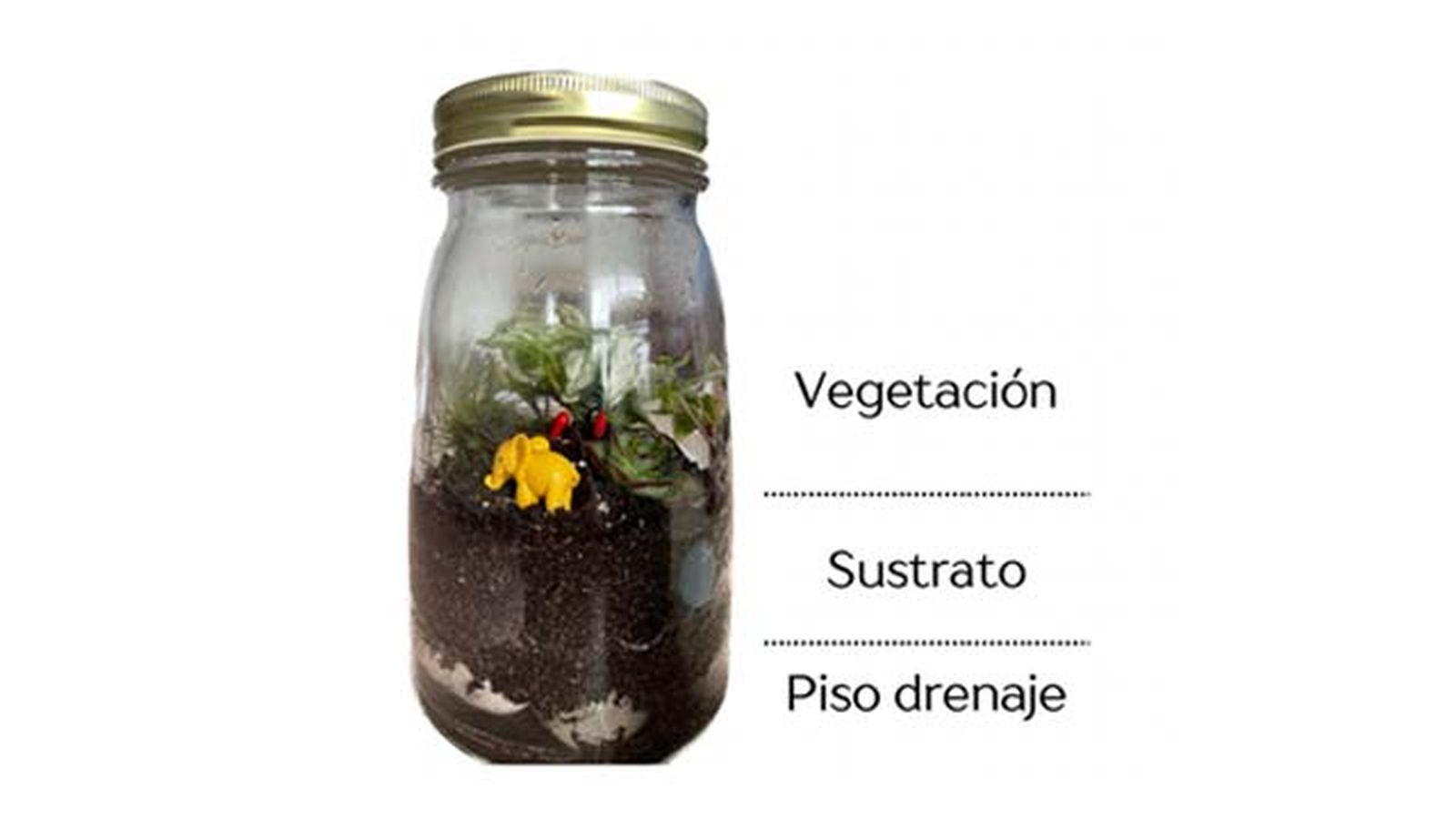 capas de los jardines