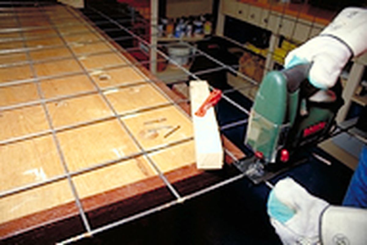 celosia enredaderas p2