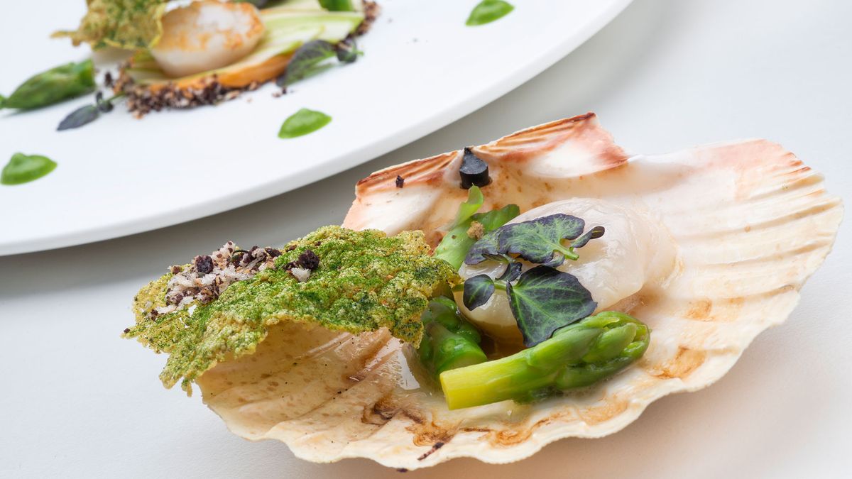 vieira crema erizo xl