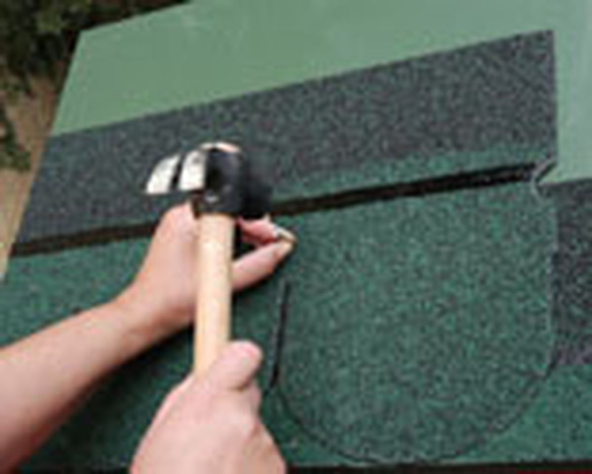 335 imper caset perro p07