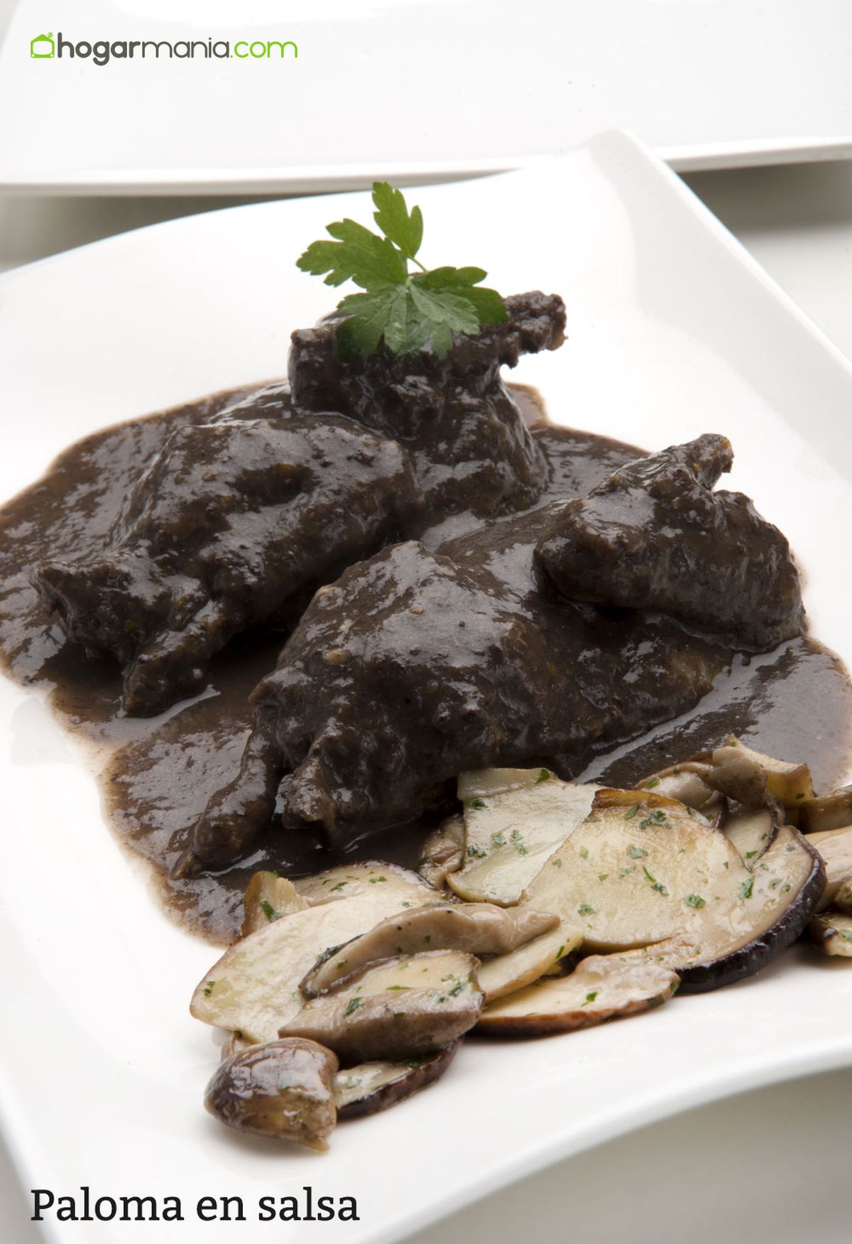 6051 1 Paloma en salsa vertical xl