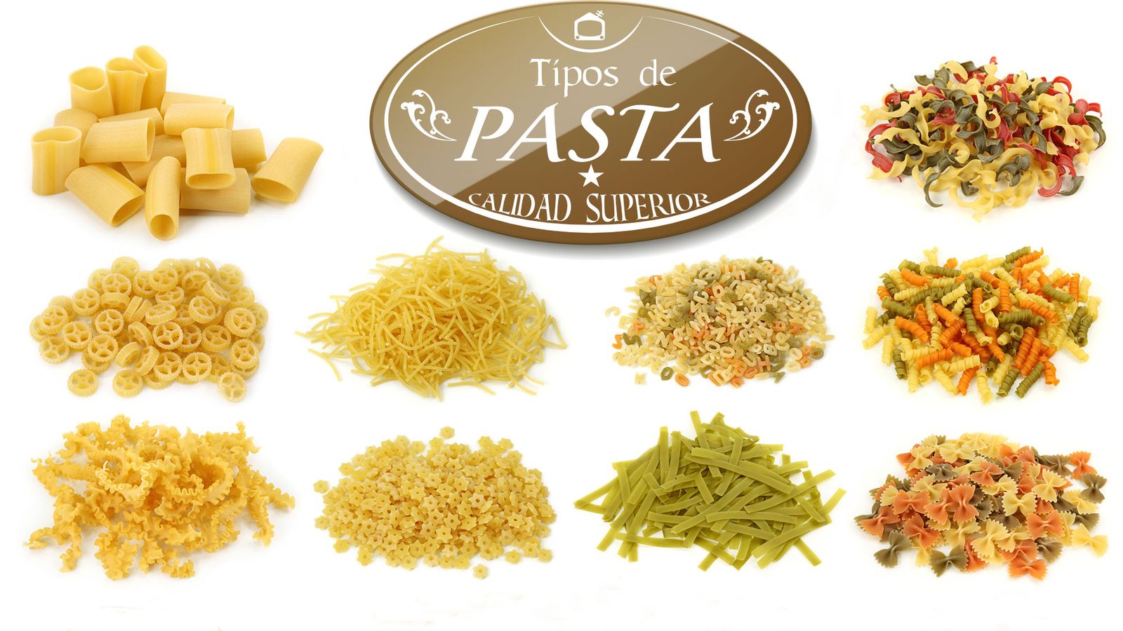 infografia tipos pasta