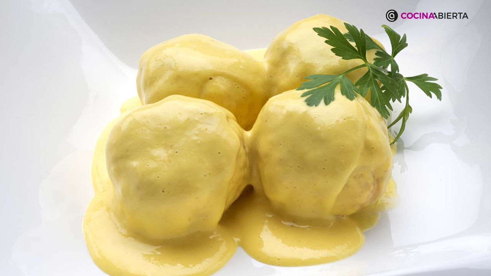 KARL6992 albondigas pollo xl