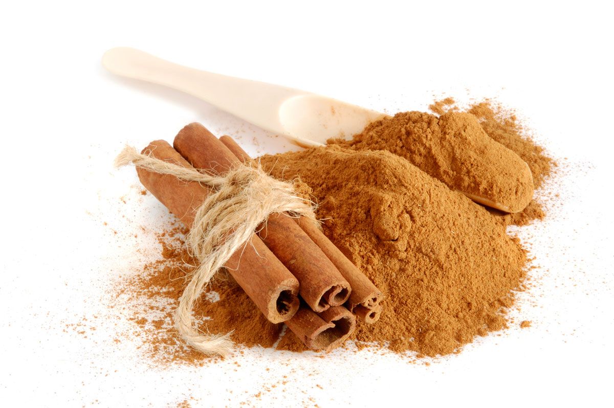 canela propiedades tipos uso xl