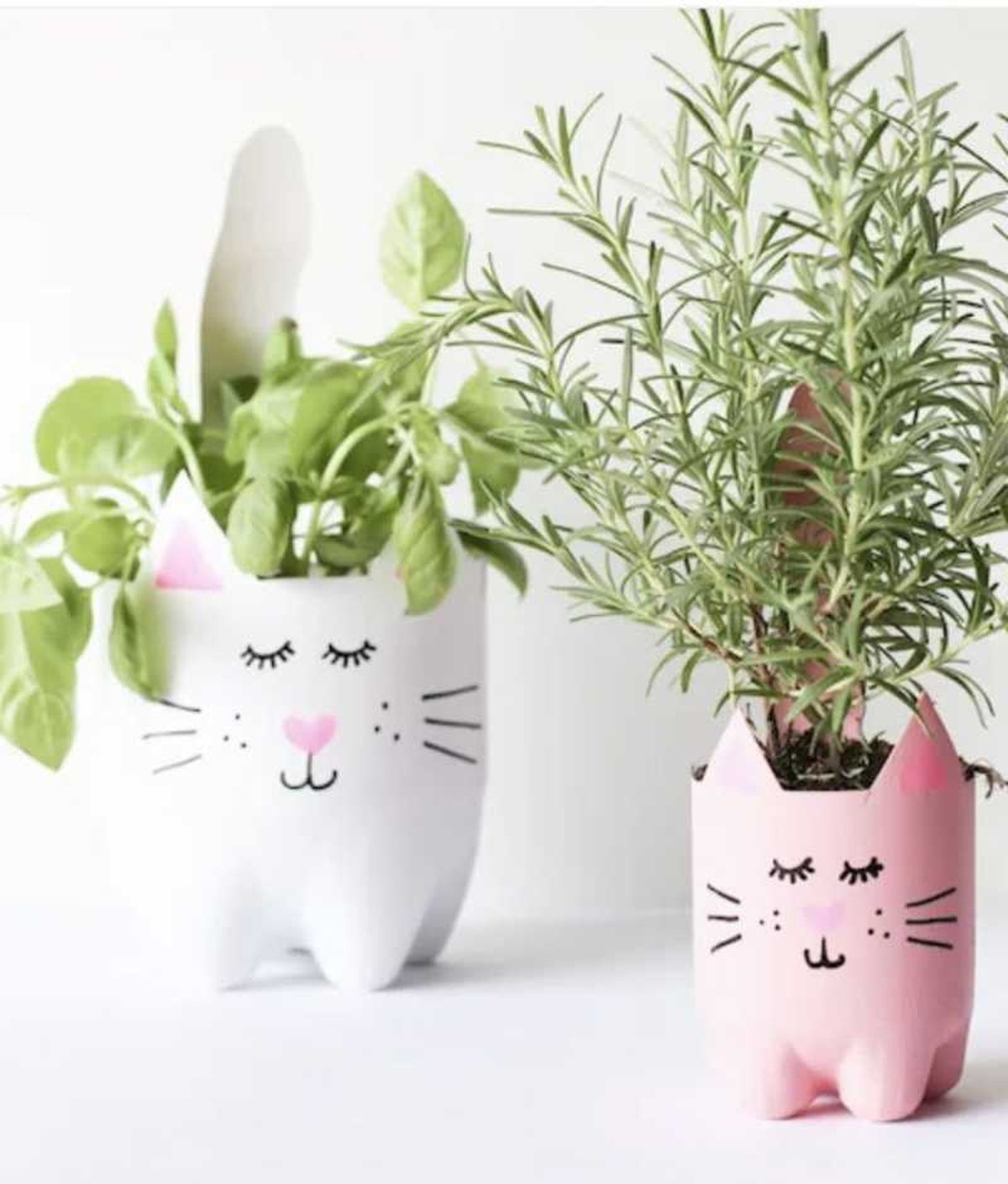 Macetas hechas con botellas de plástico pintadas como gatitos.