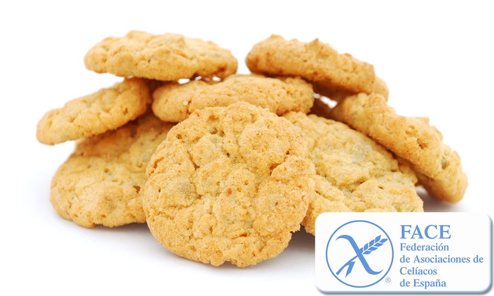 galletas celiacos xl
