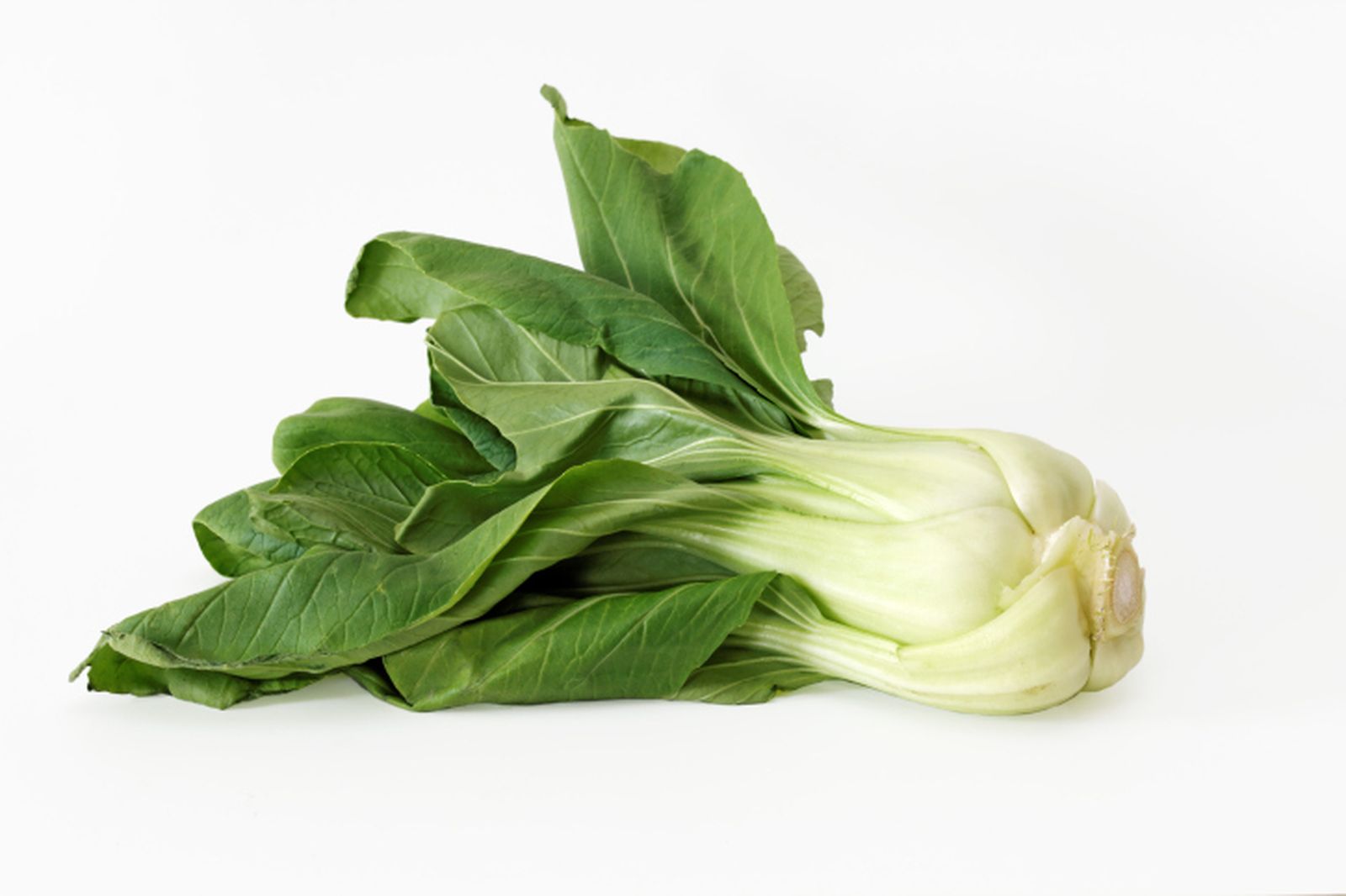 Cómo cultivar Pak Choi o Bok Choy