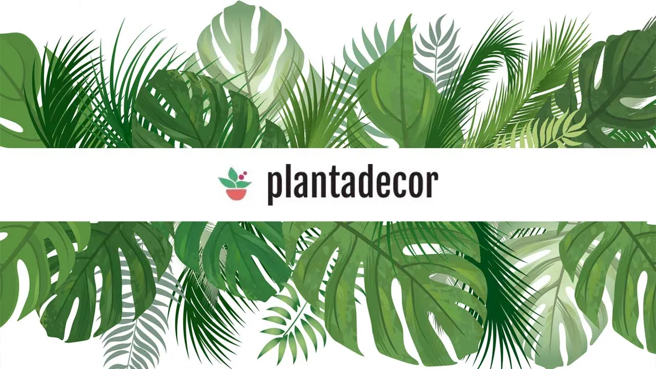 plantadecor