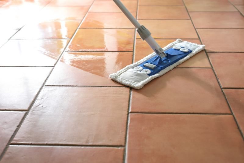 Limpia los suelos poros con agua tibia y detergente neutro