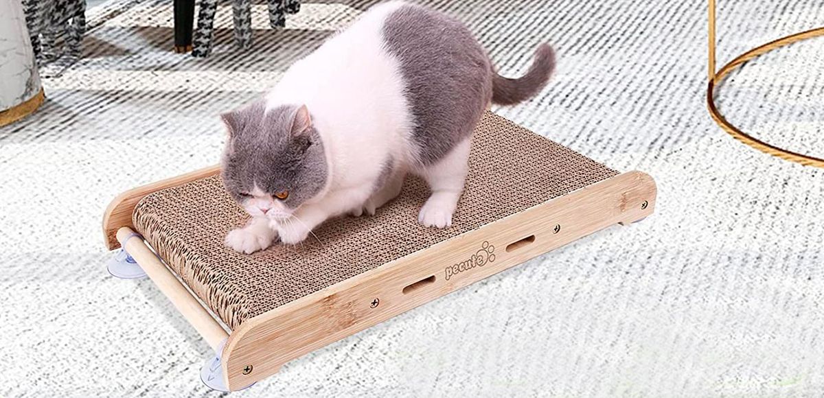 regalos gatos rascador alfombrilla carton