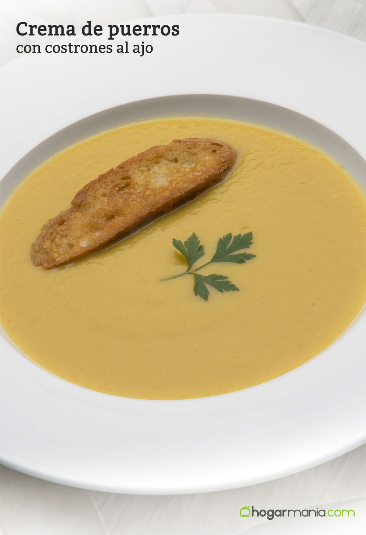 6066 1 Crema de puerros con costrones al ajo vertical xl