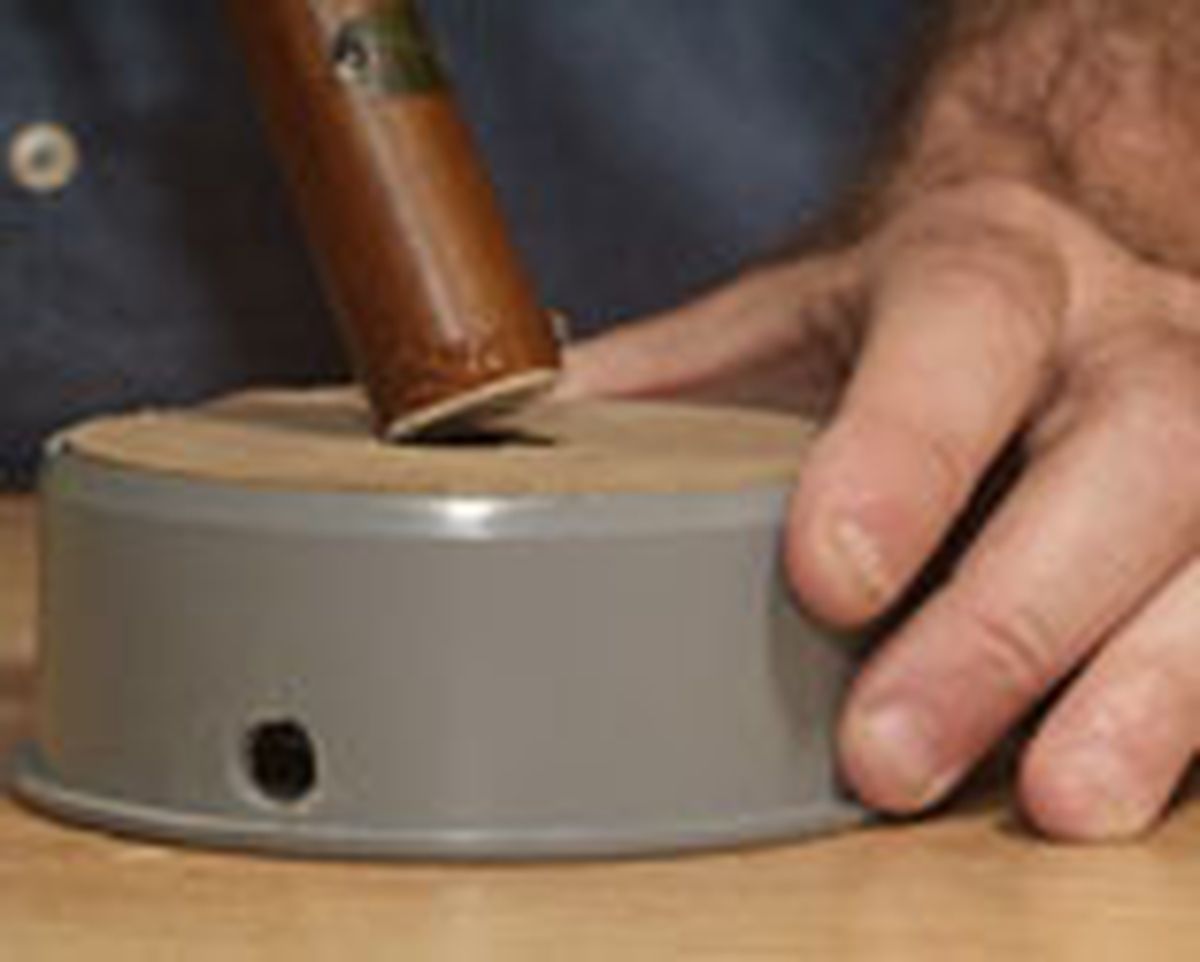 436(85) Abeto paraguas paso15