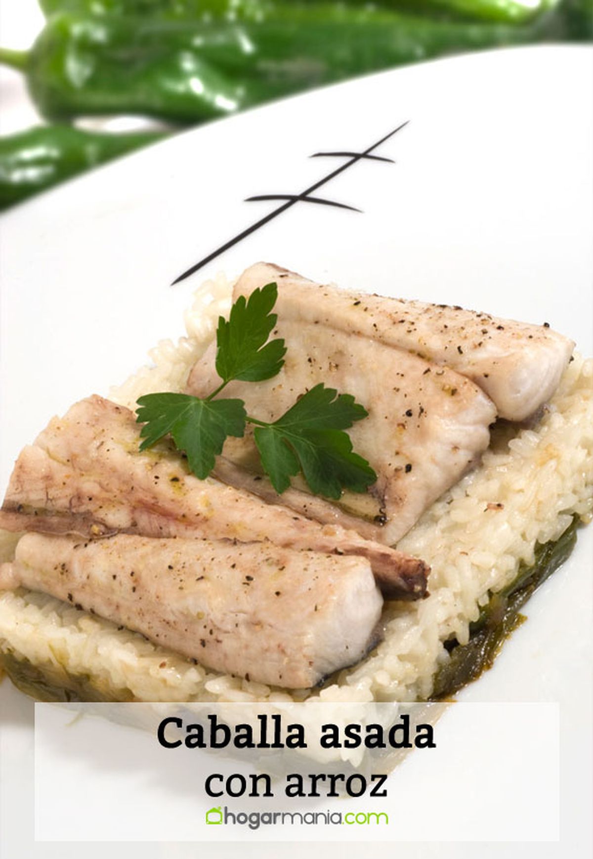 caballa asada arroz pin