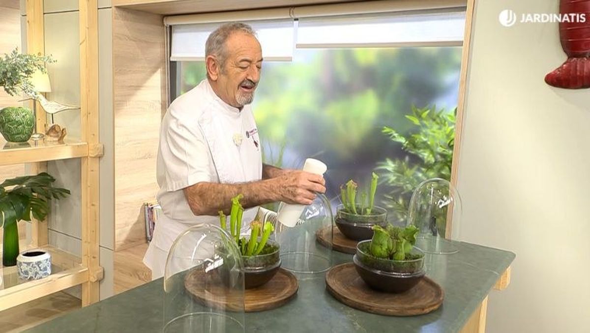 Karlos Arguiñano utiliza agua de riego para mantener sus plantas carnívoras