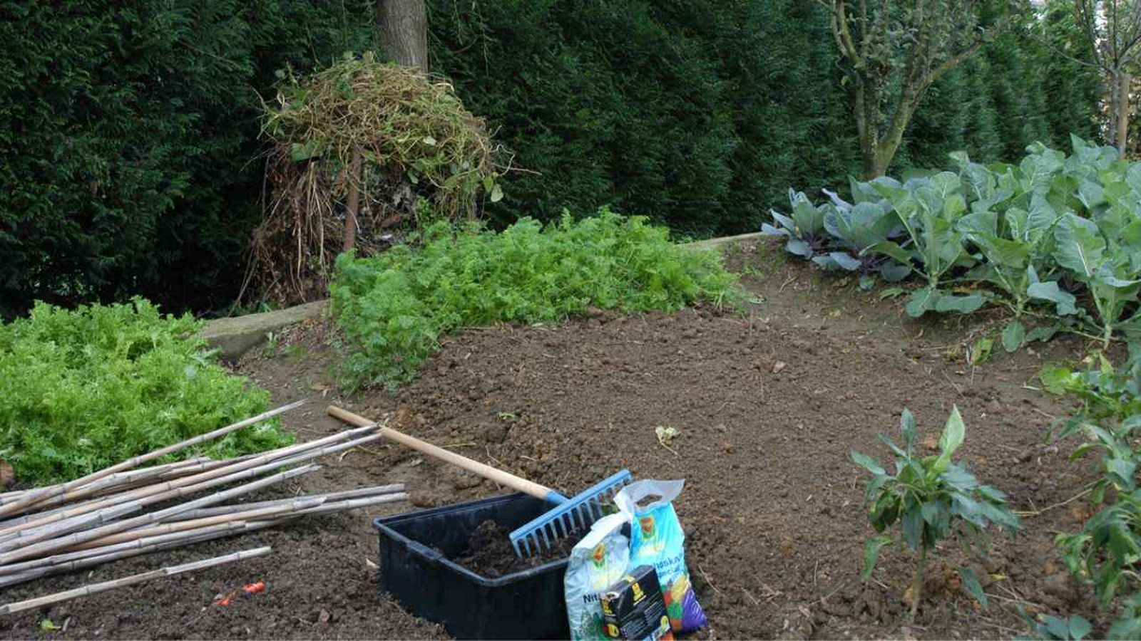 La preparación de la huerta es clave para su éxito