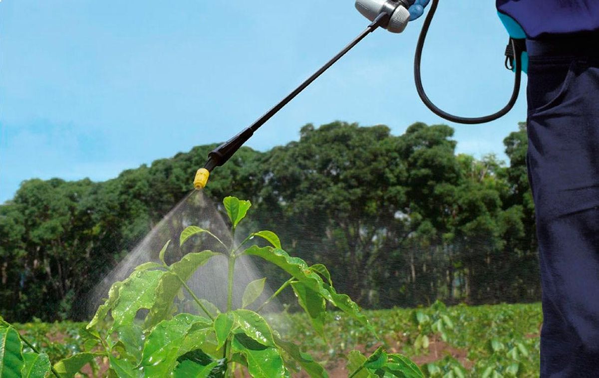 elegir pulverizador huerto jardin