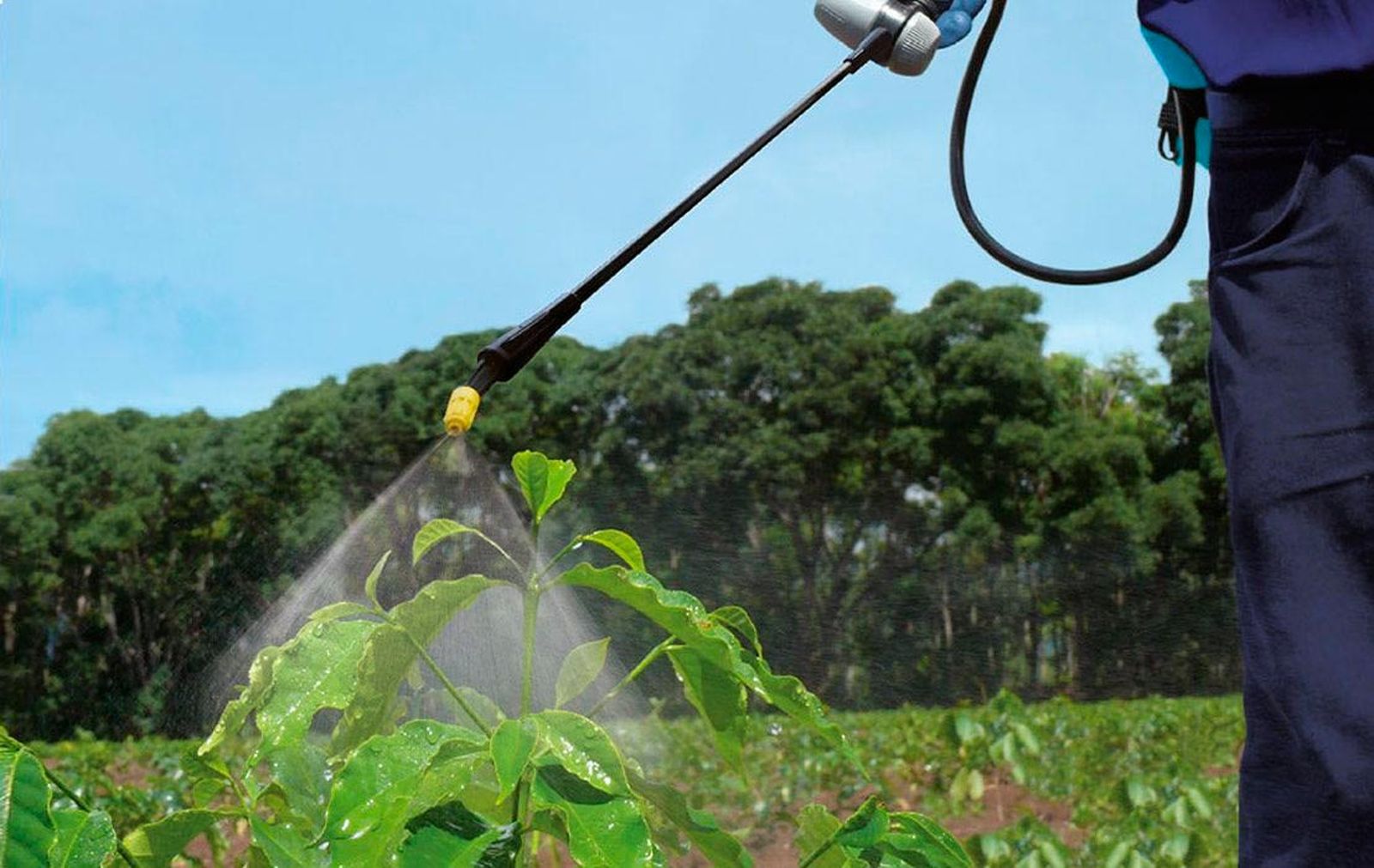 elegir pulverizador huerto jardin