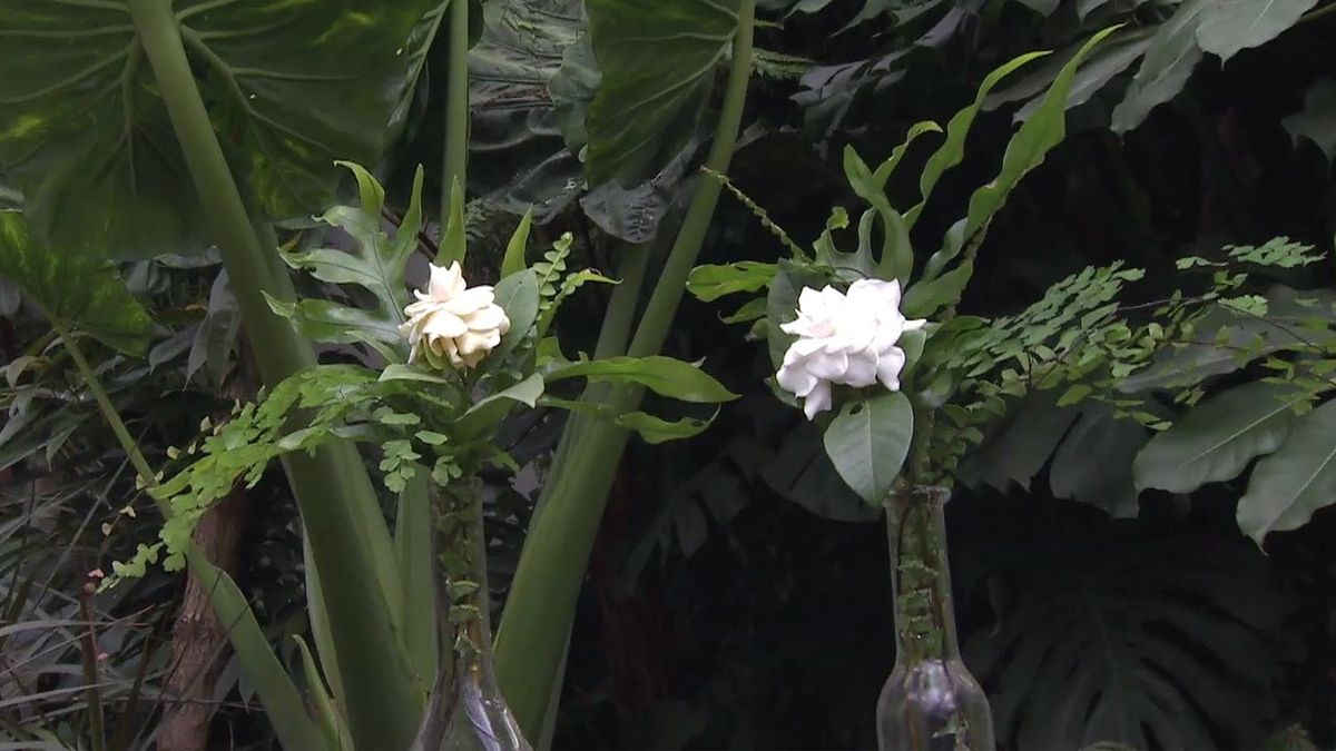 deco 742 gardenia composicion floral