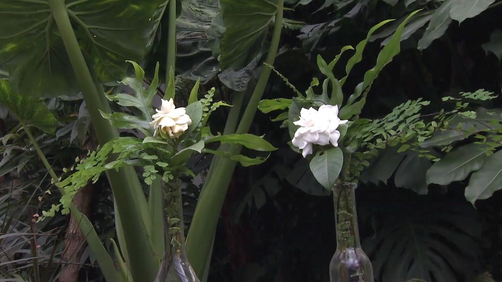 deco 742 gardenia composicion floral