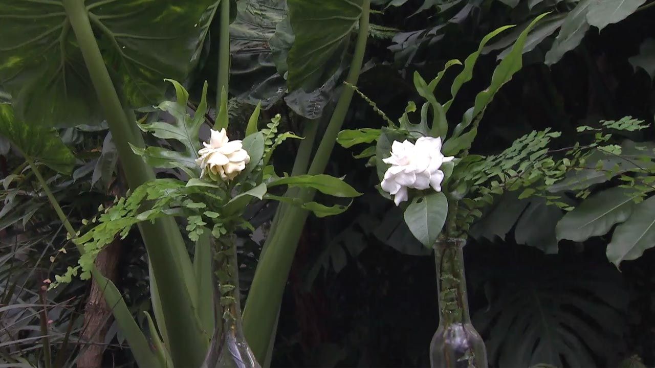 deco 742 gardenia composicion floral