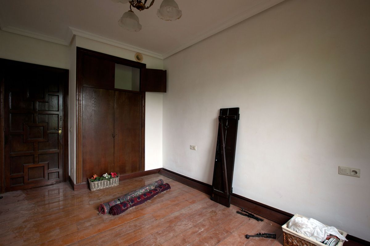 Programa de Decogarden del 6 de noviembre de 2016 5