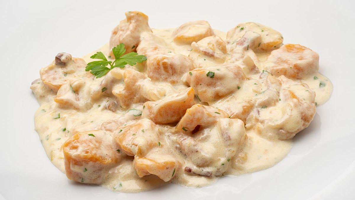 karl6686 noquis calabaza xl