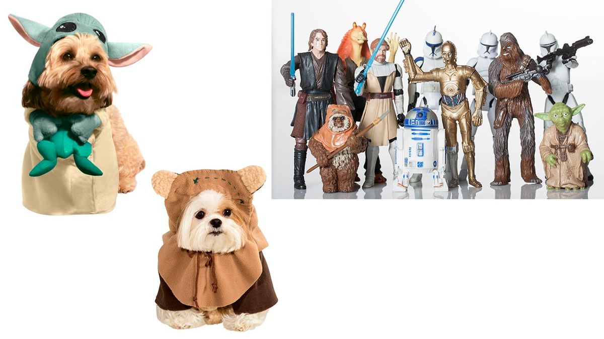 disfraces disney mascotas 15