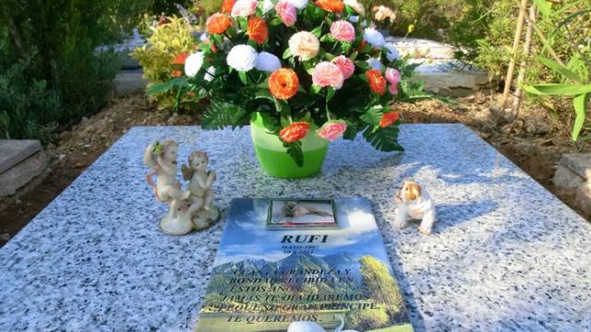 cementerio mascotas sena valencia