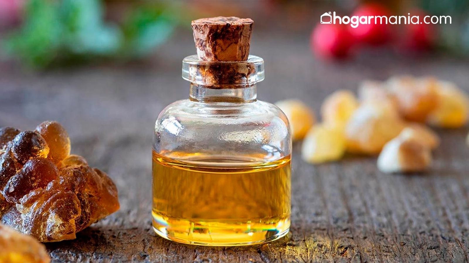 beneficios y propiedades del aceite de jojoba para la piel cabello