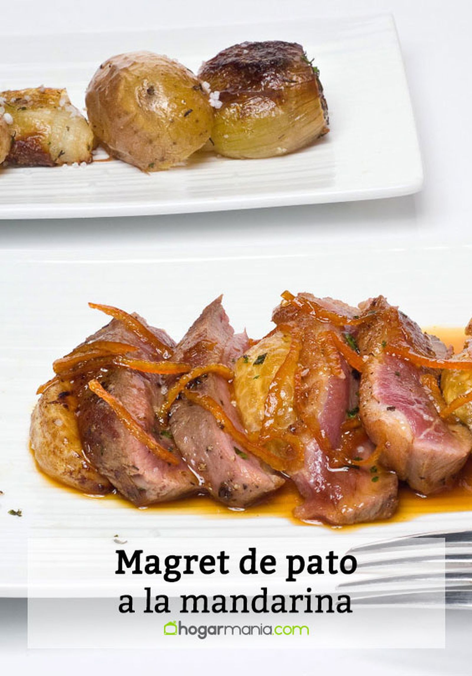 magret de pato a la mandarina pin