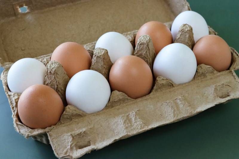 Huevos frescos pardos y blancos