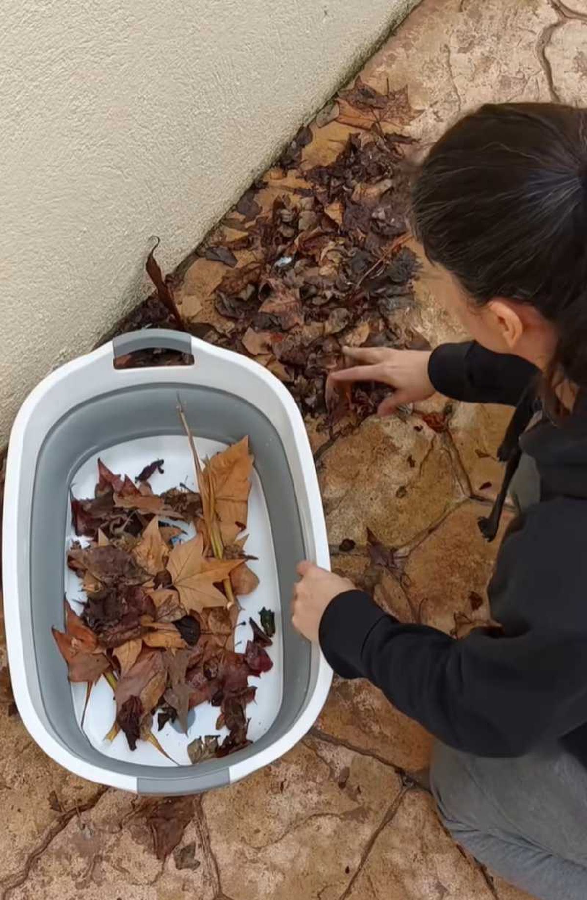 Mujer recogiendo hojas en el cesto plegable.