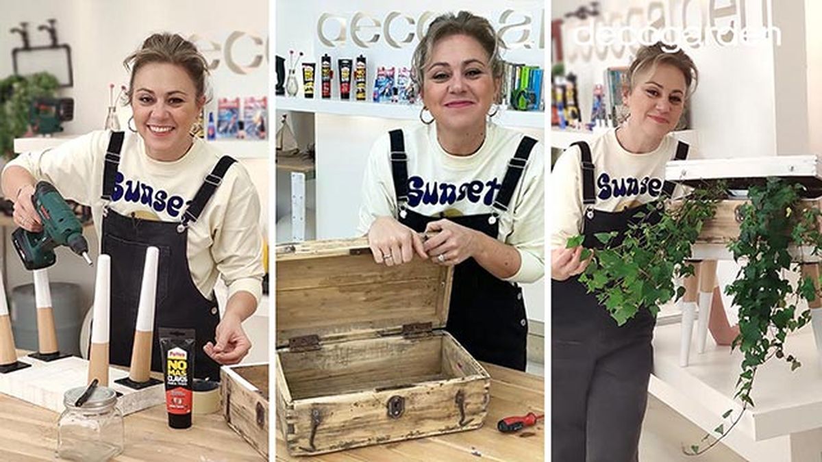 restaurar maleta antigua plantas