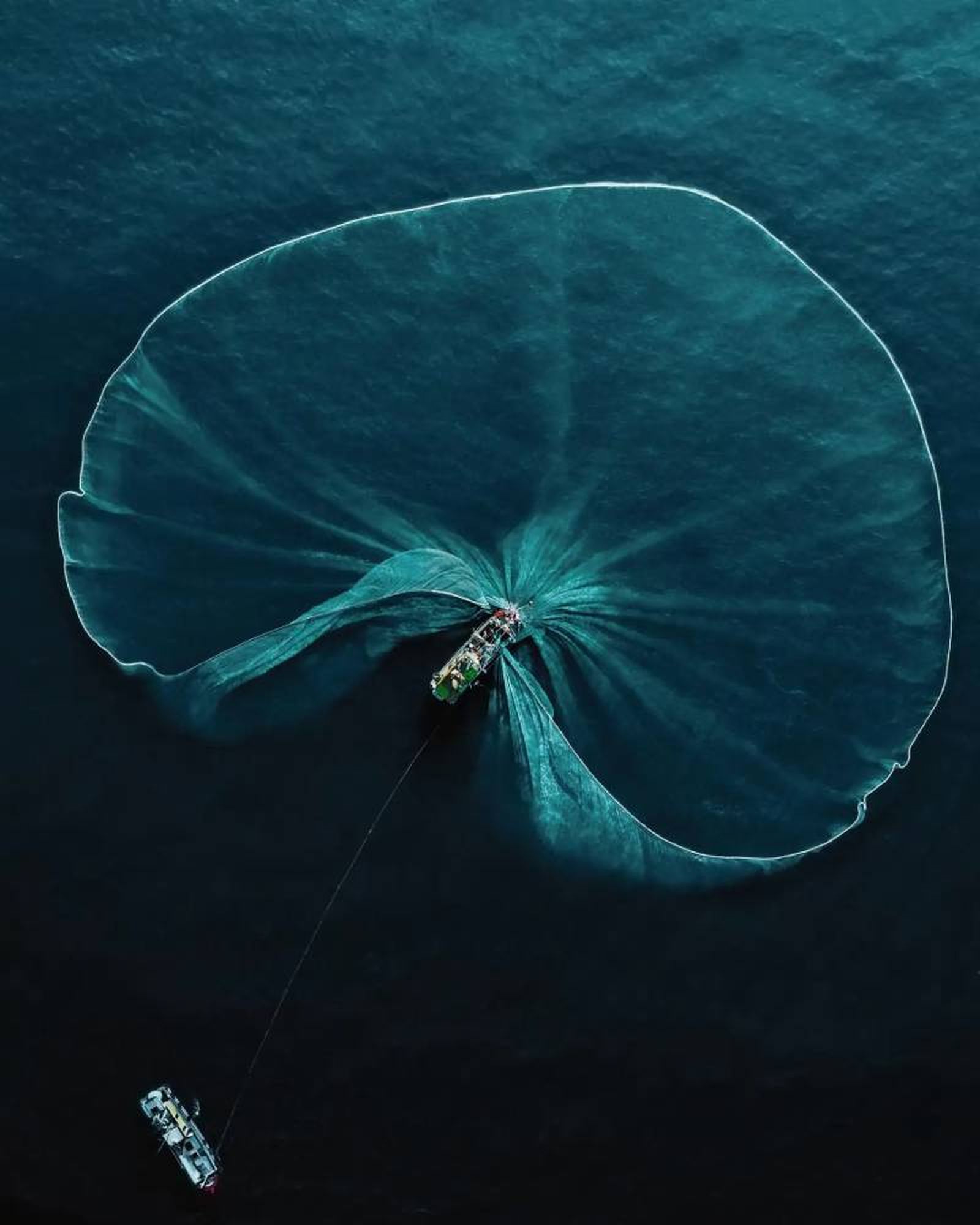 Mar en peligro: World Nature Photographer AwardsWorld Nature Photographer Awards