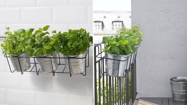 soporte para macetas ikea SVARTPEPPAR