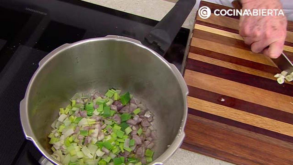 karl6911 carrilleras pina p2