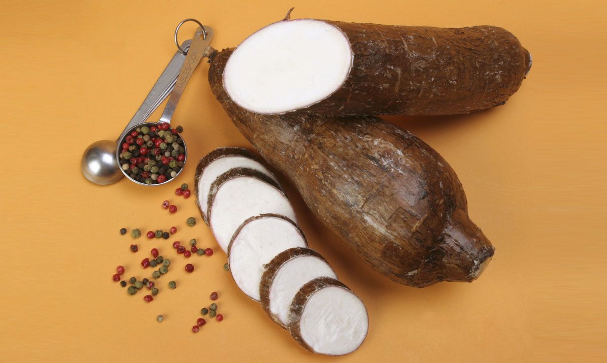 yuca xl