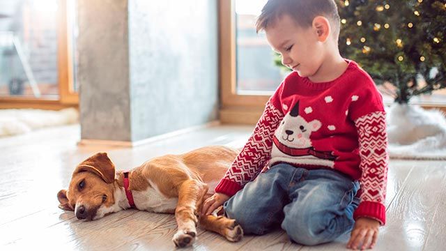 Regalarle una mascota a un niño es una decisión que hay que meditar.