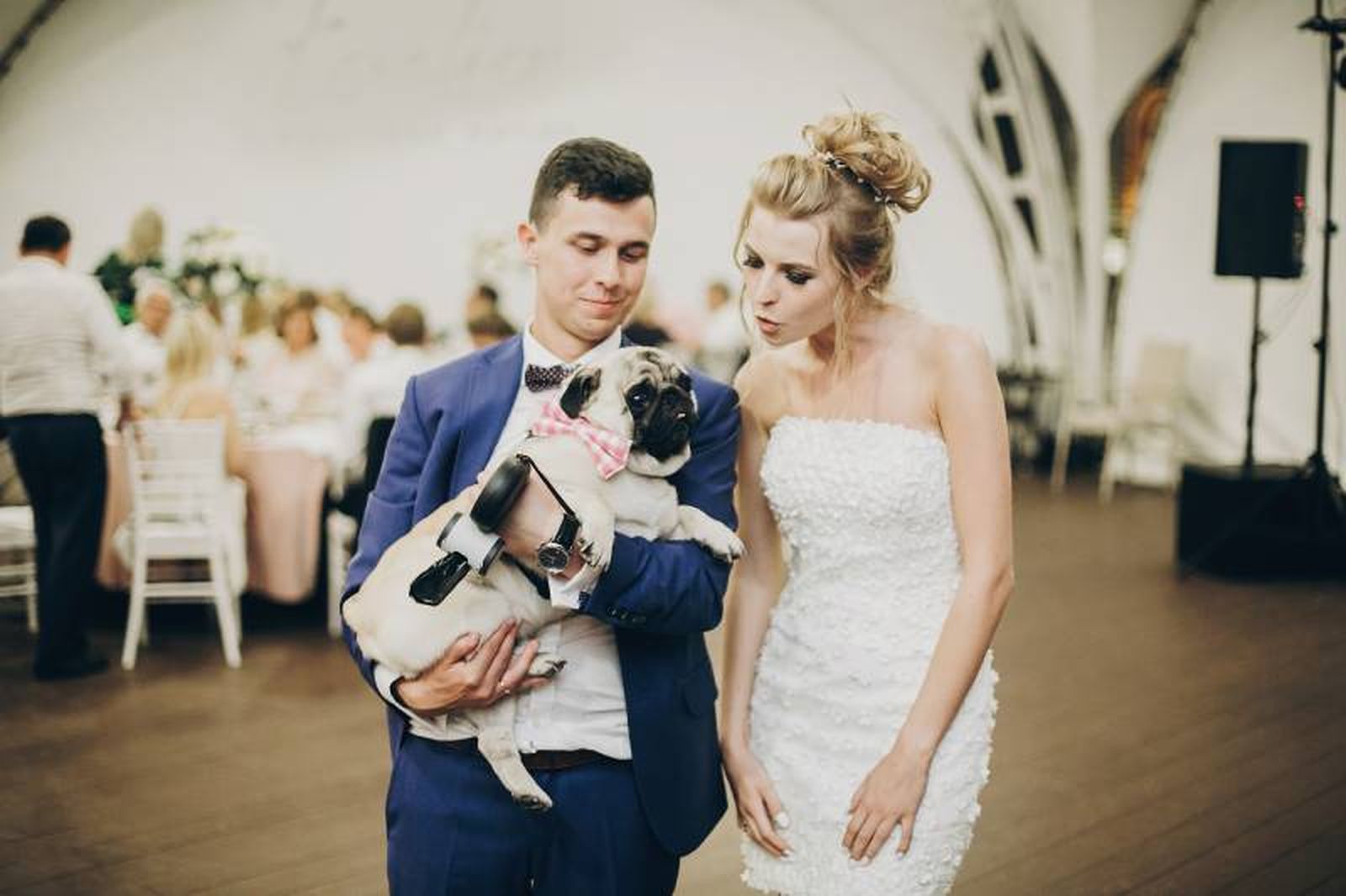 Conviene asegurarnos de que el sito en el que se hará la celebración admite mascotas.