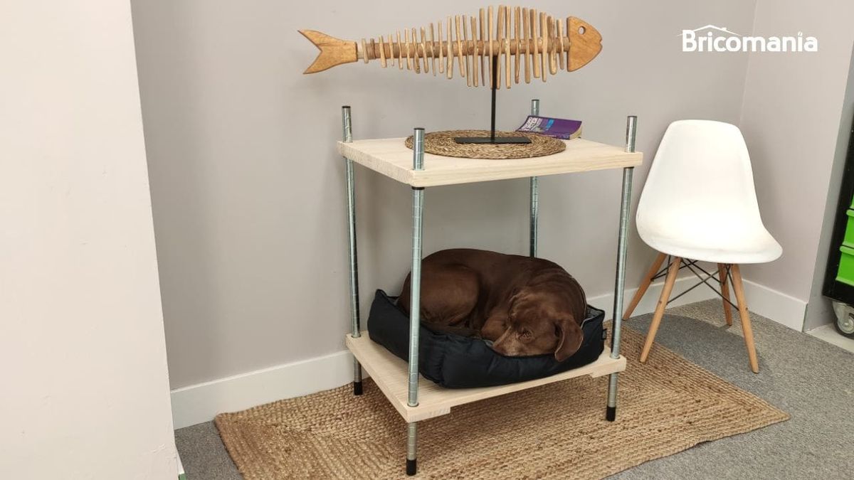 bricomania 57 mueble para perro xl