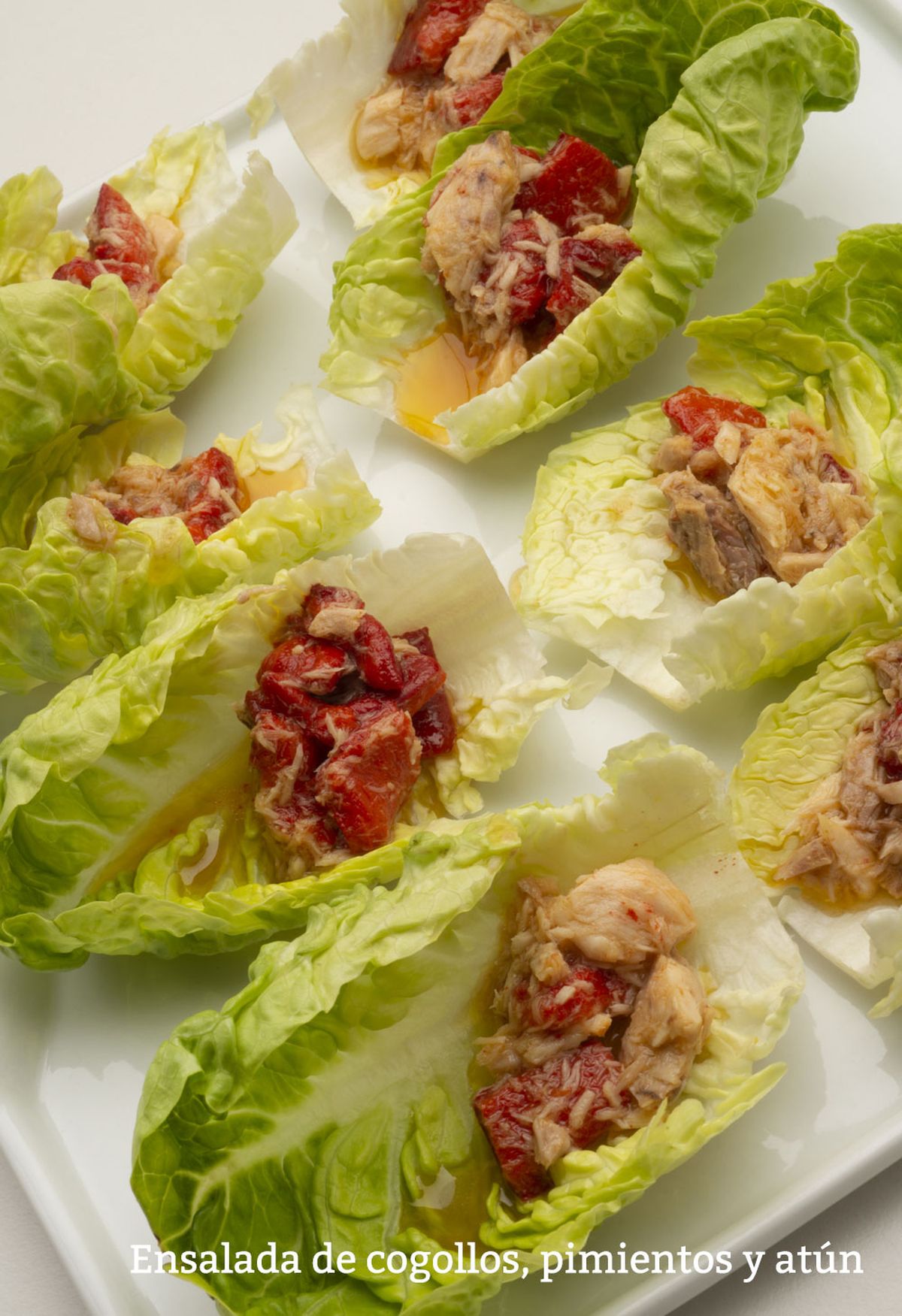 ensalada cogollos vertical