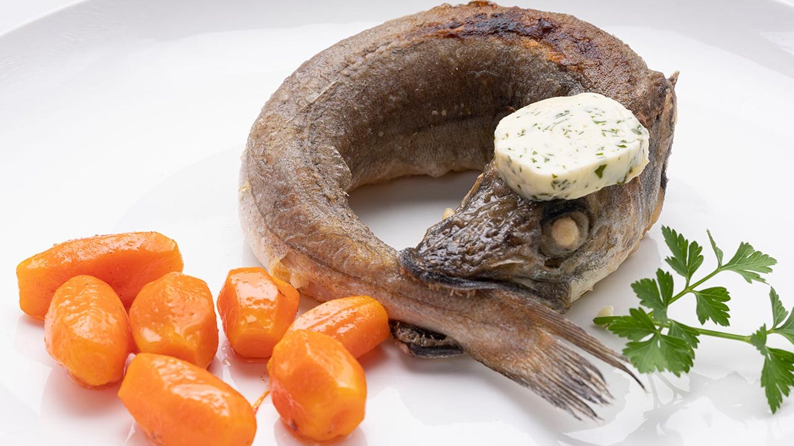 karl6635 pescadilla rabiosa xl