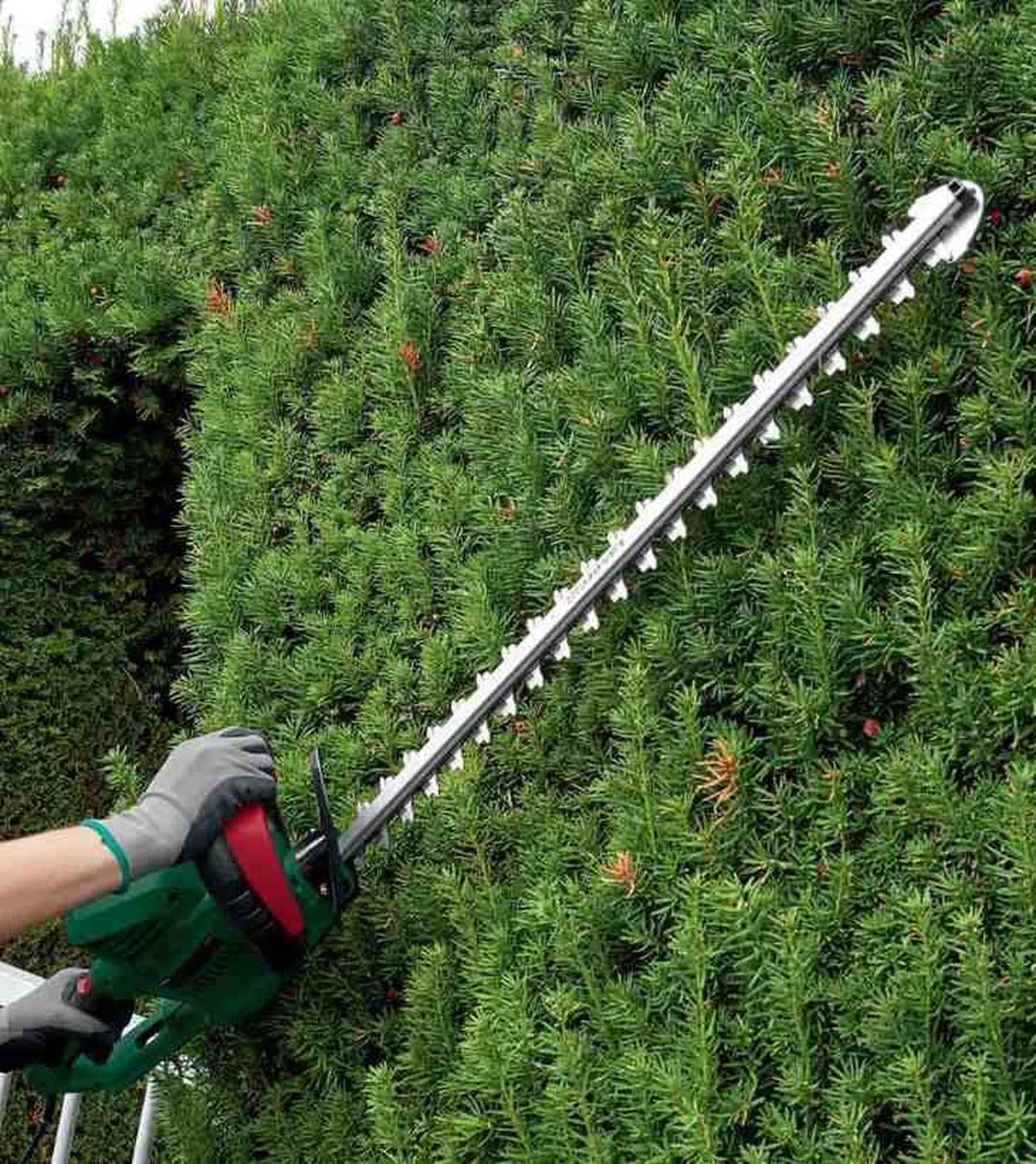 cortasetos electrico 650 w lidl