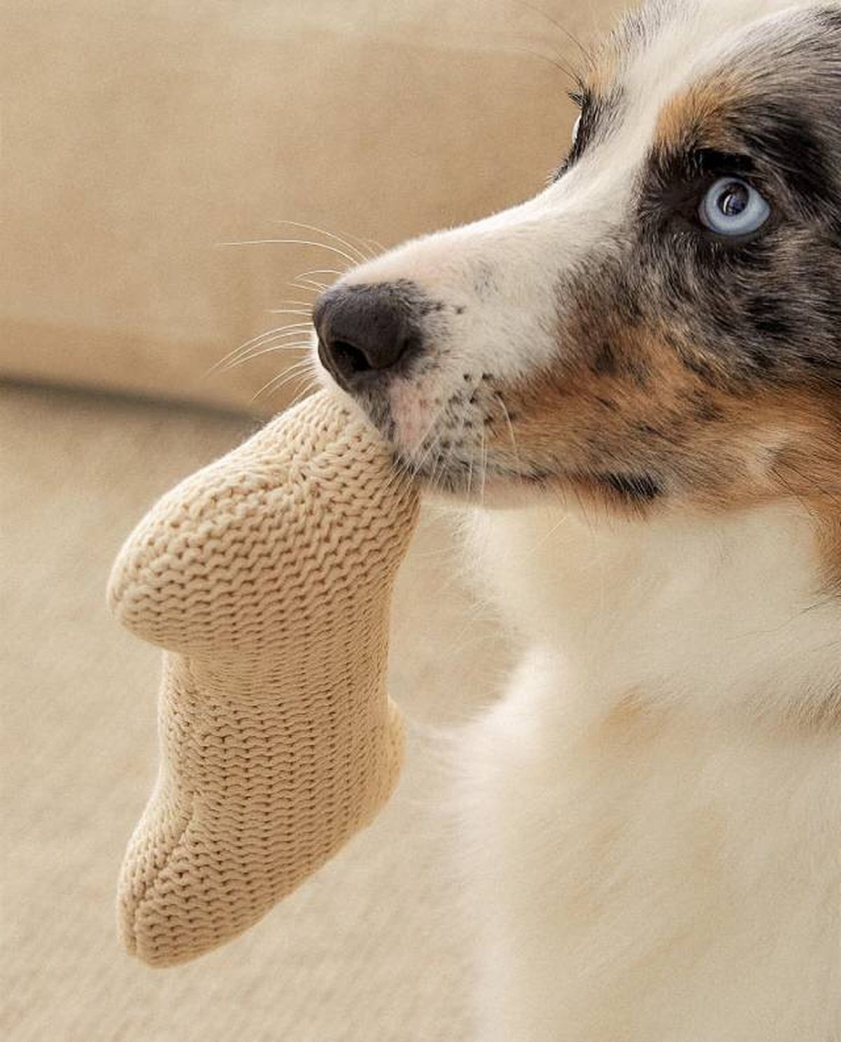 juguete hueso zara home