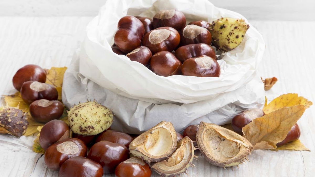 castañas asadas reconstituyentes